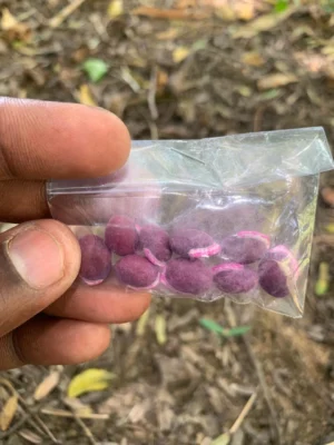 Broad Beans Seeds